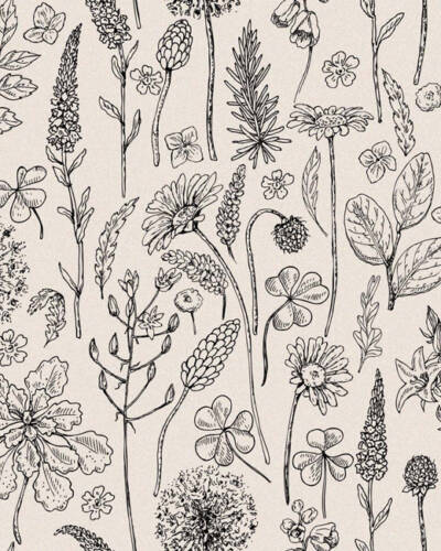 IGALARI WFDECOR STYLE TERAPY PAINT-THE-HERBARIUM
