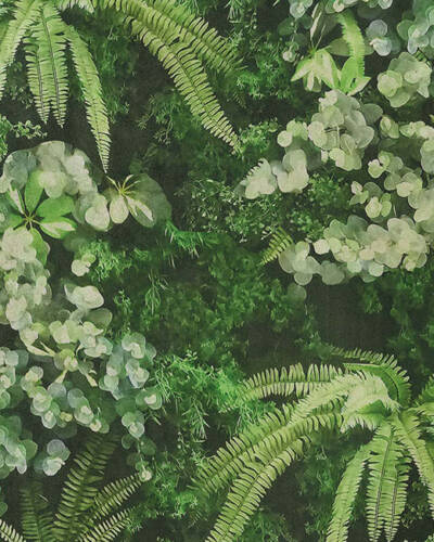 IGALARI WFDECOR DARK EDITION SECRET GARDEN
